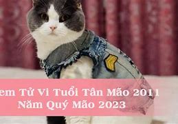 Tân Mão 2011 Năm 2023